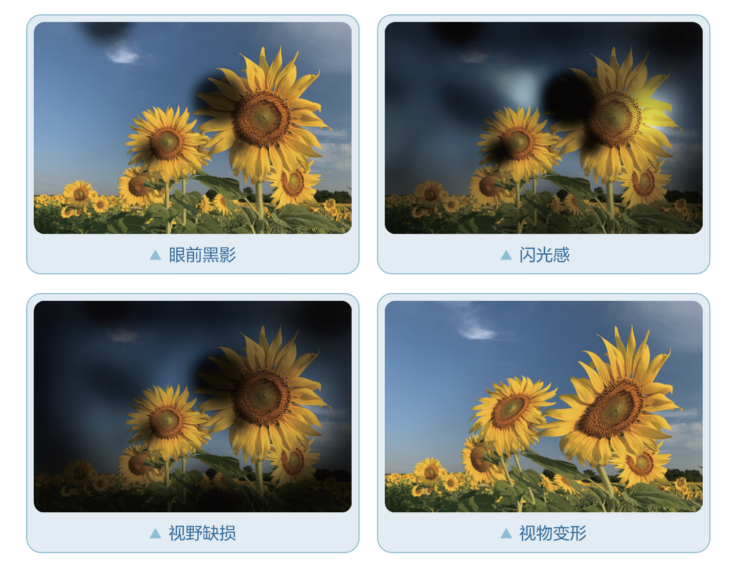 b03b4b4537253b81cb8d370b8ad1727f.png