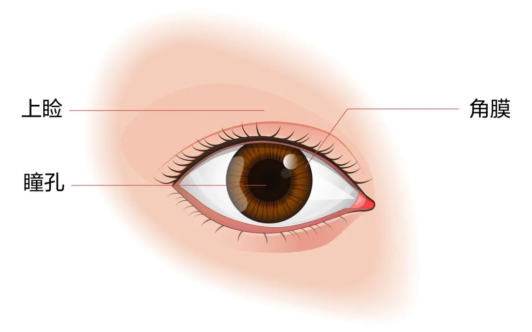 3ed52b3fb726c9ec5c11f398be453a67.jpg